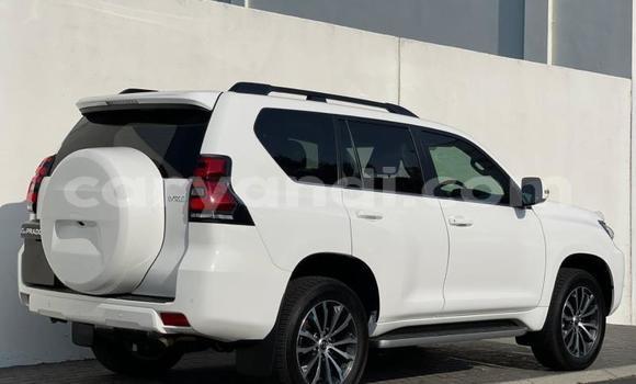 Tenga Tsaru Toyota Prado Chena Mota in Chilanga in Lusaka Tenga Tsaru Toyota Prado Chena Mota in Chilanga in Lusaka