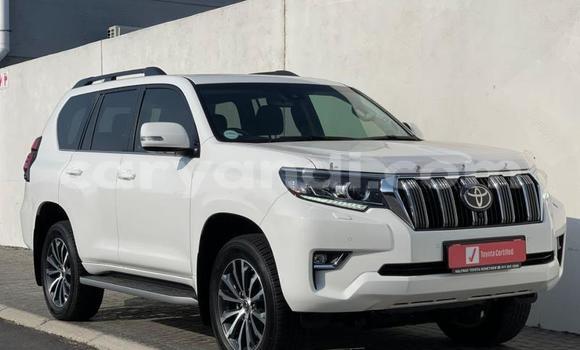 Tenga Tsaru Toyota Prado Chena Mota in Chilanga in Lusaka Tenga Tsaru Toyota Prado Chena Mota in Chilanga in Lusaka