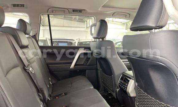 Tenga Tsaru Toyota Prado Chena Mota in Chilanga in Lusaka Tenga Tsaru Toyota Prado Chena Mota in Chilanga in Lusaka