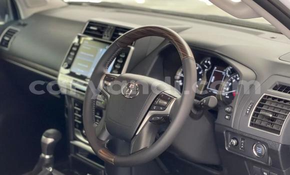 Tenga Tsaru Toyota Prado Chena Mota in Chilanga in Lusaka Tenga Tsaru Toyota Prado Chena Mota in Chilanga in Lusaka