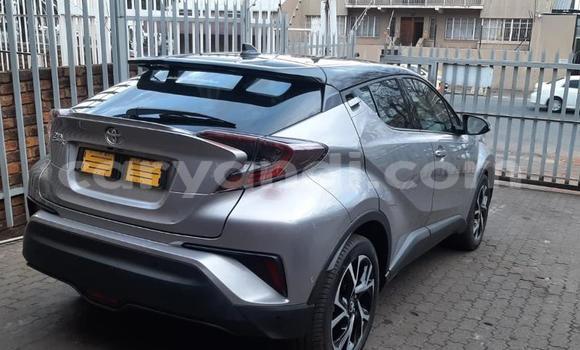 Buy Used Toyota C-HR Silver Car in Chambishi in Copperbelt Buy Used Toyota C-HR Silver Car in Chambishi in Copperbelt