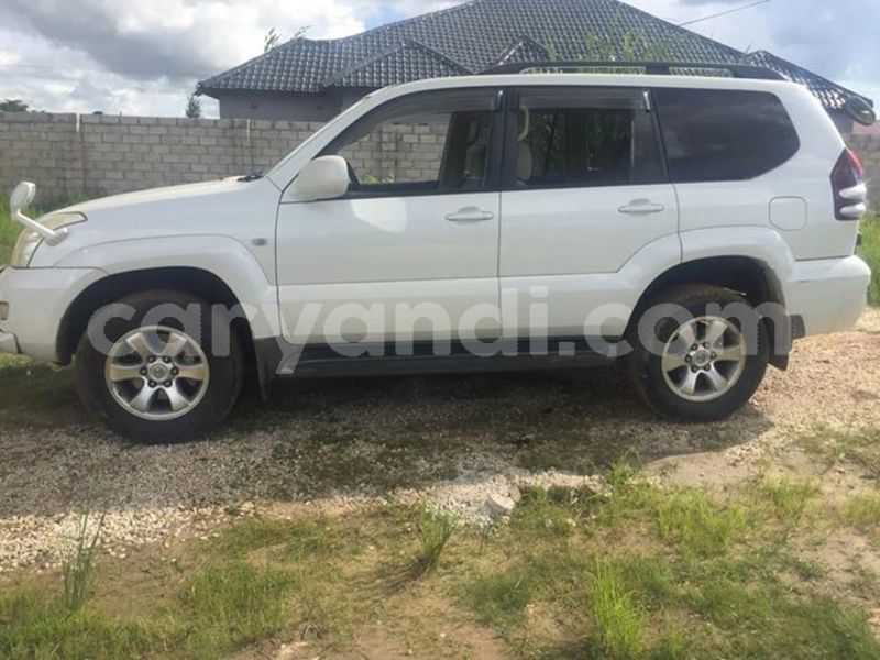 Big with watermark 51899573 2286188031425983 5764472880104472576 n