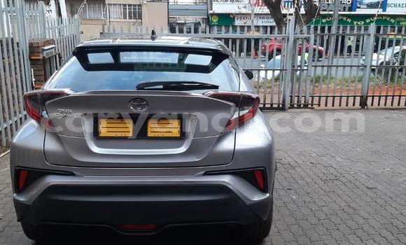 Buy Used Toyota C-HR Silver Car in Chambishi in Copperbelt Buy Used Toyota C-HR Silver Car in Chambishi in Copperbelt