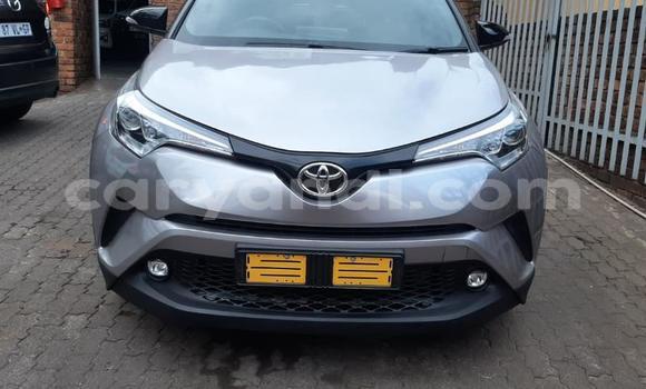 Buy Used Toyota C-HR Silver Car in Chambishi in Copperbelt Buy Used Toyota C-HR Silver Car in Chambishi in Copperbelt