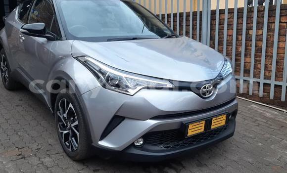 Buy Used Toyota C-HR Silver Car in Chambishi in Copperbelt Buy Used Toyota C-HR Silver Car in Chambishi in Copperbelt