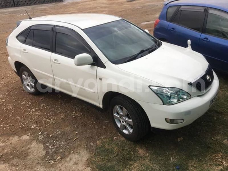 Big with watermark 51753211 2283116418399811 8660155469043597312 n