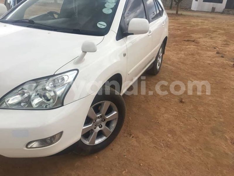 Big with watermark 51790047 2283116508399802 2507555985061576704 n