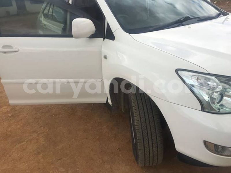 Big with watermark 51813438 2283116328399820 5579552857016762368 n