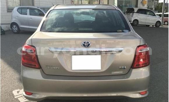 Buy Used Toyota Axio Other Car in Kabwe in Zambia Buy Used Toyota Axio Other Car in Kabwe in Zambia