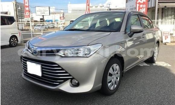 Buy Used Toyota Axio Other Car in Kabwe in Zambia Buy Used Toyota Axio Other Car in Kabwe in Zambia