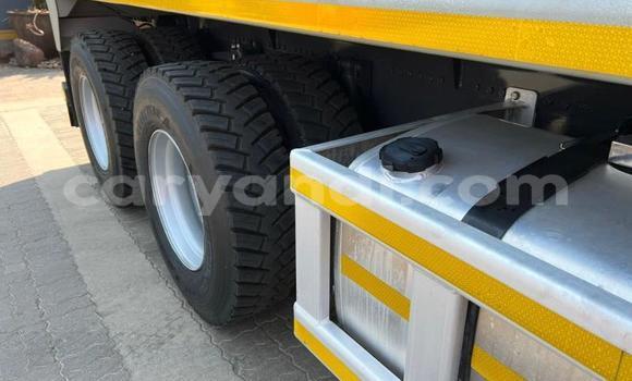 Tenga Tsaru Volvo FL Beige Rori in Lusaka in Zambia Tenga Tsaru Volvo FL Beige Rori in Lusaka in Zambia