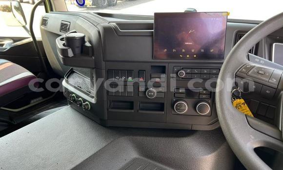 Tenga Tsaru Volvo FL Beige Rori in Lusaka in Zambia Tenga Tsaru Volvo FL Beige Rori in Lusaka in Zambia