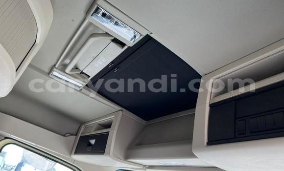 Tenga Tsaru Volvo FL Beige Rori in Lusaka in Zambia Tenga Tsaru Volvo FL Beige Rori in Lusaka in Zambia