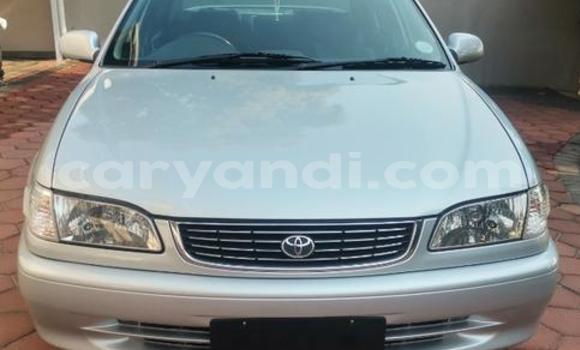 Buy Used Toyota Corolla Silver Car in Livingstone in Zambia