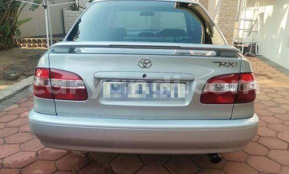 Acheter Occasion Voiture Toyota Corolla Gris à Livingstone, Zambie Acheter Occasion Voiture Toyota Corolla Gris à Livingstone, Zambie