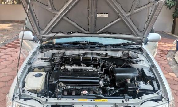 Acheter Occasion Voiture Toyota Corolla Gris à Livingstone, Zambie Acheter Occasion Voiture Toyota Corolla Gris à Livingstone, Zambie