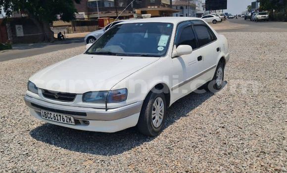 Buy Used Toyota Corolla Silver Car in Chingola in Zambia