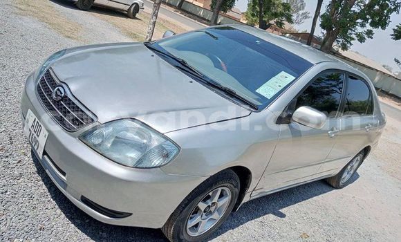 Buy Used Toyota Corolla Silver Car in Chingola in Zambia Buy Used Toyota Corolla Silver Car in Chingola in Zambia