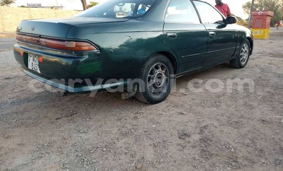 Buy Used Toyota Mark II Green Car in Kitwe in Zambia Buy Used Toyota Mark II Green Car in Kitwe in Zambia