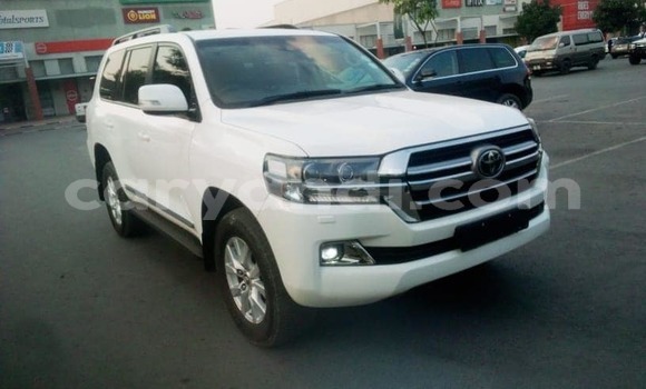 Tenga Tsaru Toyota Land Cruiser Chena Mota in Lusaka in Zambia Tenga Tsaru Toyota Land Cruiser Chena Mota in Lusaka in Zambia