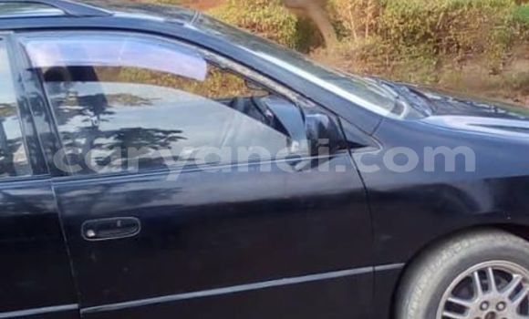 Tenga Tsaru Toyota Ipsum Nhema Mota in Lusaka in Zambia Tenga Tsaru Toyota Ipsum Nhema Mota in Lusaka in Zambia