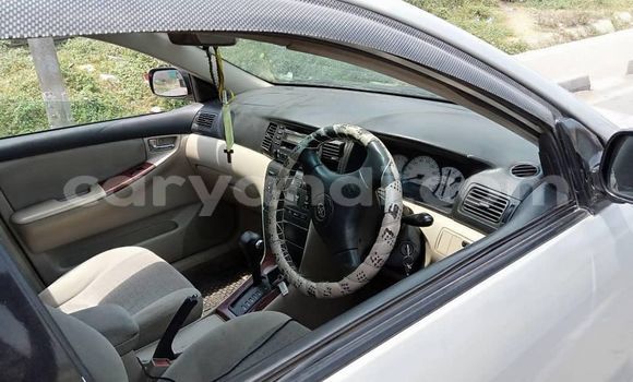 Acheter Occasion Voiture Toyota Auris Blanc à Lusaka, Zambie Acheter Occasion Voiture Toyota Auris Blanc à Lusaka, Zambie