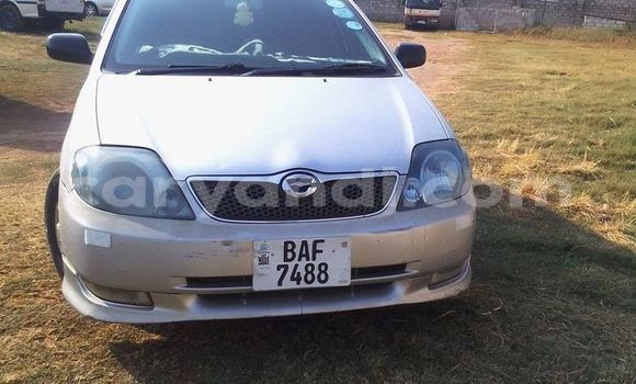 Nunua Ilio tumika Toyota Corolla Fedha Gari ndani ya Chambishi nchini Copperbelt Nunua Ilio tumika Toyota Corolla Fedha Gari ndani ya Chambishi nchini Copperbelt