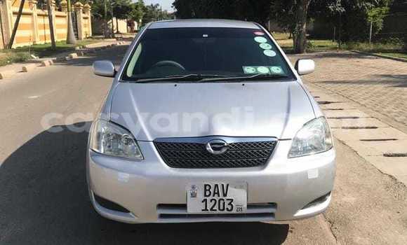 Tenga Tsaru Toyota Runx Sirivha Mota in Lusaka in Zambia Tenga Tsaru Toyota Runx Sirivha Mota in Lusaka in Zambia