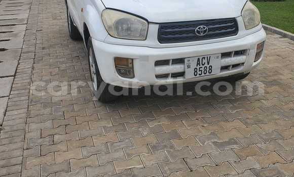 Nunua Ilio tumika Toyota RAV4 Nyeupe Gari ndani ya Lusaka nchini Zambia