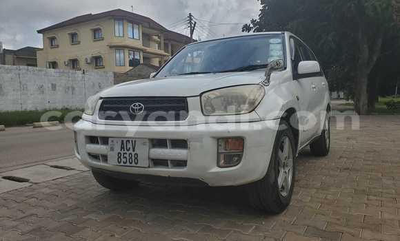 Tenga Tsaru Toyota RAV4 Chena Mota in Lusaka in Zambia Tenga Tsaru Toyota RAV4 Chena Mota in Lusaka in Zambia
