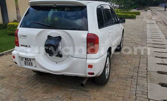 Tenga Tsaru Toyota RAV4 Chena Mota in Lusaka in Zambia Tenga Tsaru Toyota RAV4 Chena Mota in Lusaka in Zambia