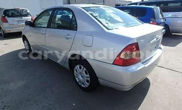 Acheter Import Voiture Toyota Corolla Autre à Lusaka, Zambie Acheter Import Voiture Toyota Corolla Autre à Lusaka, Zambie