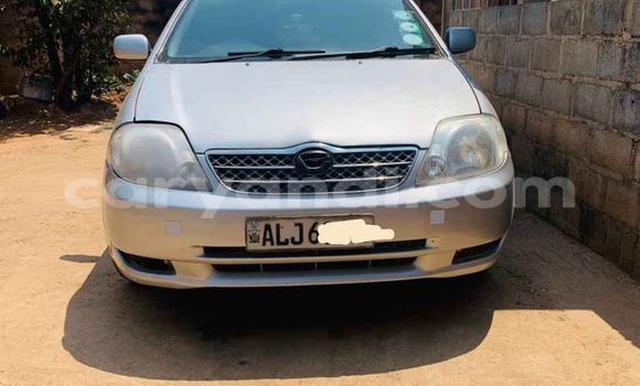 Buy Used Toyota Corolla Silver Car in Lusaka in Zambia