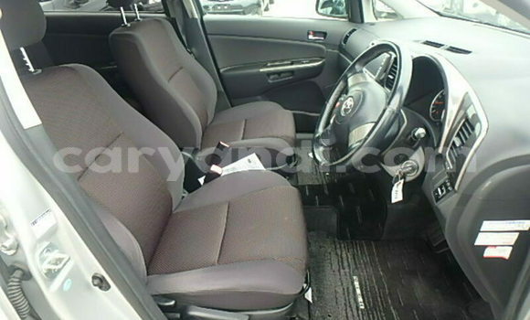 Tenga Tsaru Toyota Wish Sirivha Mota in Lusaka in Zambia Tenga Tsaru Toyota Wish Sirivha Mota in Lusaka in Zambia