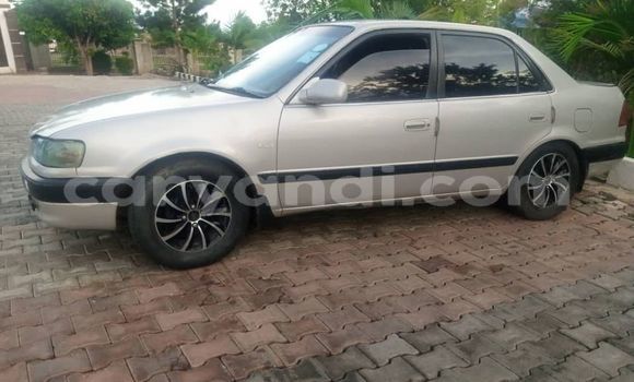 Acheter Occasion Voiture Toyota Corolla Gris à Kitwe, Zambie Acheter Occasion Voiture Toyota Corolla Gris à Kitwe, Zambie