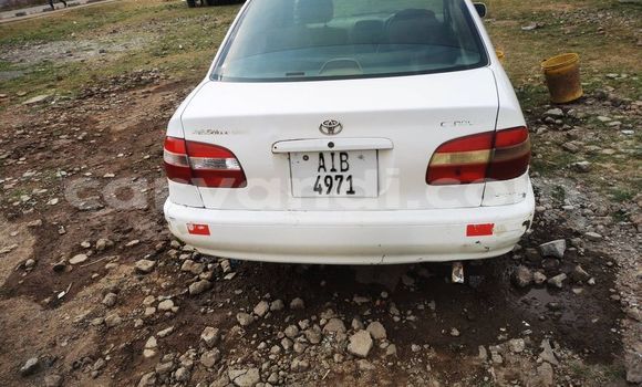 Acheter Occasion Voiture Toyota Corolla Blanc à Kitwe, Zambie Acheter Occasion Voiture Toyota Corolla Blanc à Kitwe, Zambie