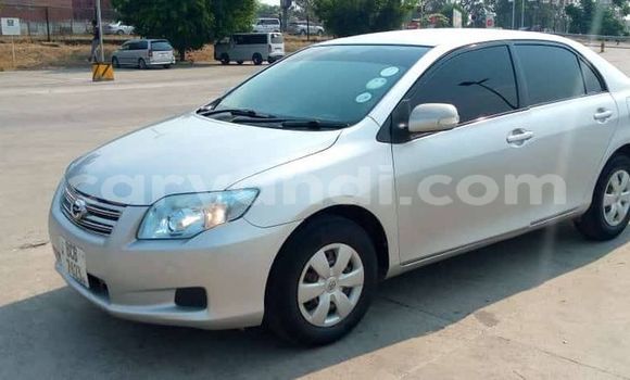 Acheter Occasion Voiture Toyota Axio Gris à Kitwe, Zambie Acheter Occasion Voiture Toyota Axio Gris à Kitwe, Zambie
