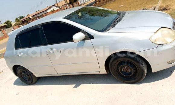 Buy Used Toyota Runx Silver Car in Kitwe in Zambia Buy Used Toyota Runx Silver Car in Kitwe in Zambia