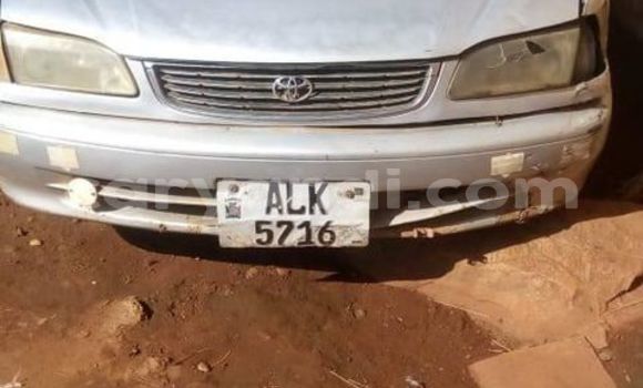 Buy Used Toyota Corolla Silver Car in Lusaka in Zambia