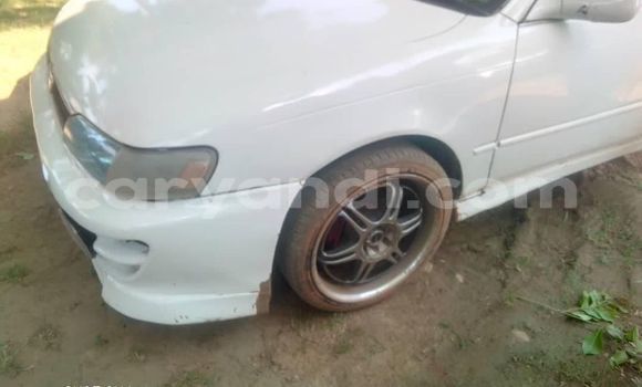 Buy Used Toyota Corolla White Car in Lusaka in Zambia