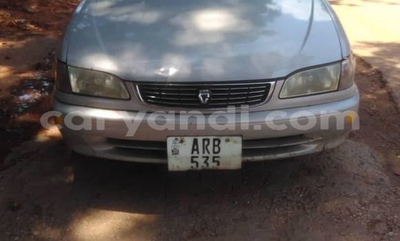 Buy Used Toyota Corolla Silver Car in Lusaka in Zambia Buy Used Toyota Corolla Silver Car in Lusaka in Zambia