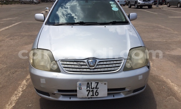 Nunua Ilio tumika Toyota Runx Fedha Gari ndani ya Lusaka nchini Zambia Nunua Ilio tumika Toyota Runx Fedha Gari ndani ya Lusaka nchini Zambia