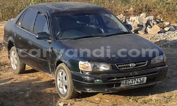 Tenga Tsaru Toyota 4Runner Nhema Mota in Kitwe in Zambia Tenga Tsaru Toyota 4Runner Nhema Mota in Kitwe in Zambia