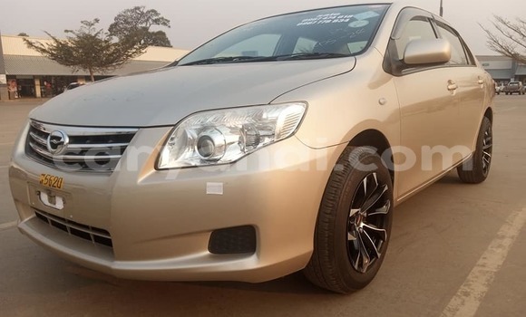 Tenga Tsaru Toyota Axio Bhurawuni Mota in Solwezi in North-Western