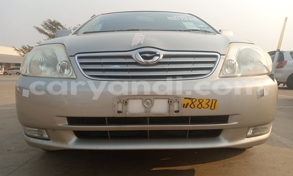 Buy Used Toyota Corolla Brown Car in Solwezi in North-Western