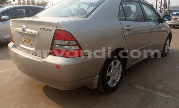 Acheter Occasion Voiture Toyota Corolla Marron à Solwezi, Nord-Ouest Acheter Occasion Voiture Toyota Corolla Marron à Solwezi, Nord-Ouest