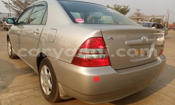 Acheter Occasion Voiture Toyota Corolla Marron à Solwezi, Nord-Ouest Acheter Occasion Voiture Toyota Corolla Marron à Solwezi, Nord-Ouest