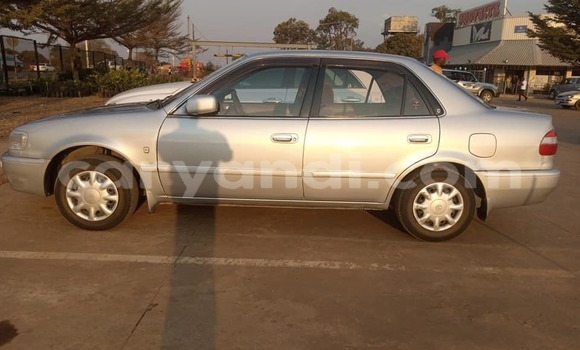 Acheter Occasion Voiture Toyota Corolla Gris à Solwezi, Nord-Ouest