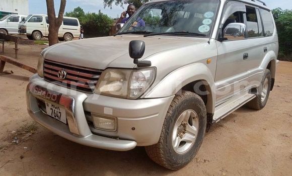 Buy Used Toyota Land Cruiser Prado Silver Car in Solwezi in North-Western