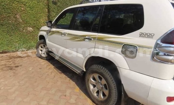 Tenga Tsaru Toyota Land Cruiser Prado Chena Mota in Lusaka in Zambia Tenga Tsaru Toyota Land Cruiser Prado Chena Mota in Lusaka in Zambia